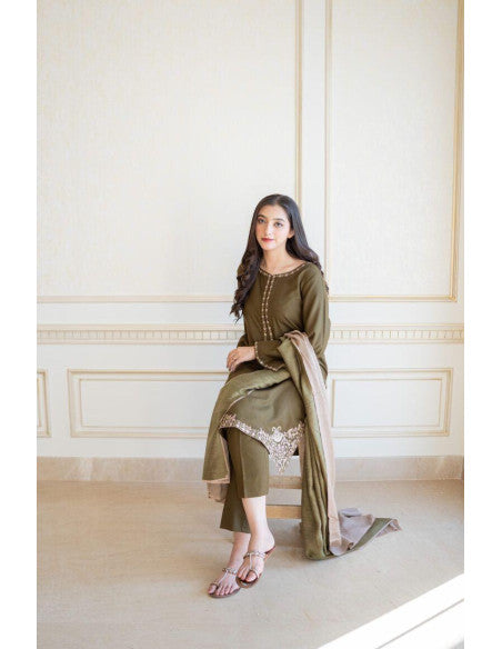 DHANAK 3PC EMBROIDERED DRESS BN11105