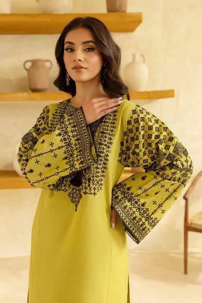 embroidered dress with beautifull 